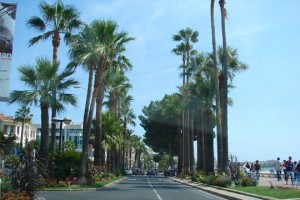 944546-la-croisette-a-cannes-promenade-mythique