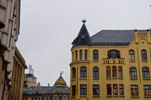 Cat+House+Riga